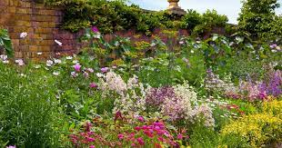 I kind of want to plant and let grow by itself. 17 Flowering Perennials That Will Grow Anywhere Gardener S Path