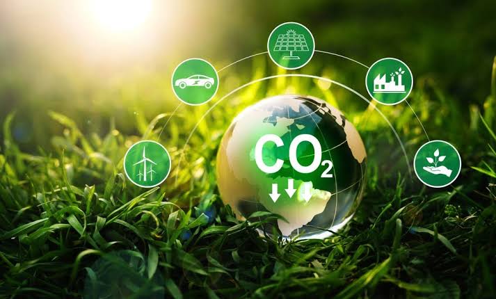Proyecto Mercado De Créditos De Carbono | Antarctic Lands