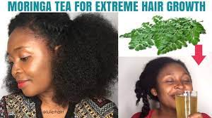 moringa tea for extreme hair growth