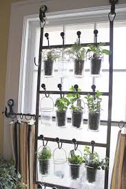 Window Herb Garden Herbs Indoors