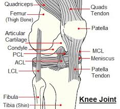 knee pain when bending causes