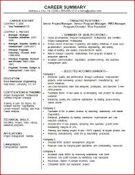 Resume Job Summary All New Resume Examples Resume Template