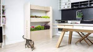 Tiny Garden In Your House With Wall Farm