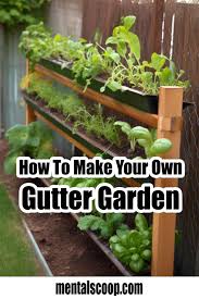 how to make your own gutter garden