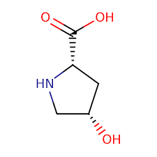 cis 4 hydroxy l proline biosynth