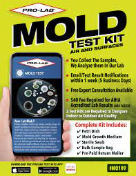 pro lab mold test kit in the mold test