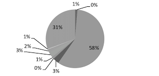 The Pie Chart Of The Ratio Of Total Social Investment In Ten
