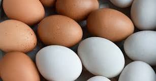 do-duck-eggs-taste-different-than-chicken-eggs