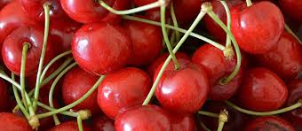 What is sour cherry good for?