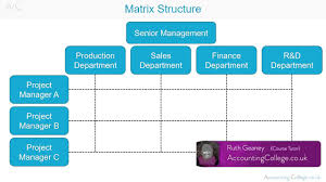 Matrix Organisational Structure A Z Of Business Terminology