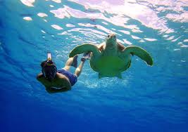 Ocean Reef Snorkel Talkie And Aria Classic