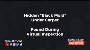 hidden black mold under carpet found