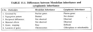 Notes On Cytoplasmic Inheritance Genetics