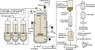 Fermentative Production Of Glutamic Acid From Renewable