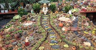 small wonders miniature gardens are