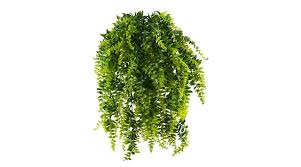 Trova una vasta selezione di piante finte pendenti a prezzi vantaggiosi su ebay. Piante Finte Da Interno Scegliere Le Migliori Piante Artificiali Indoor