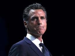 However, there are several factors that affect a celebrity's net worth, such as taxes, management fees, investment gains or losses, marriage, divorce, etc. California Governor Gavin Newsom S Life And Pandemic Response Business Insider
