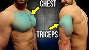 full chest and triceps workout