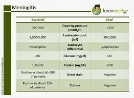 Meningitis   What Every Teen Needs to Know   ppt download MENINGITIS Joe Bachelder INTRODUCTION     Provide Understanding of Meningitis      Evidenced Based Research Summary     TRUEPIC
