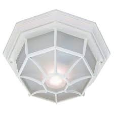 Outdoor Ceiling Mount Light Fixture