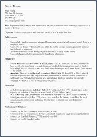 Professional Objective Examples Objective Resume Examples Unique