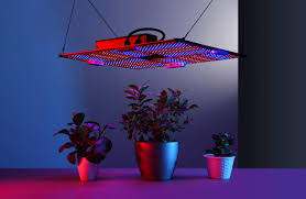 best led grow lights for your plants