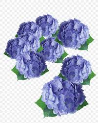 Flower Purple Hydrangea Floral Design Png 1200x1500px