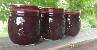 plum jam recipe how to make this easy