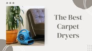 best carpet dryer 2023 for every