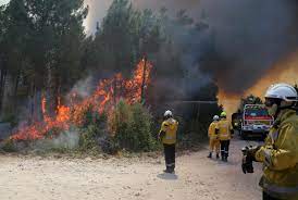 Incendies en Gironde : “deux feux hors-normes”, 14 100 habitants évacués,  le bilan de la journée de samedi