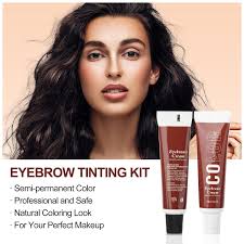 professional eyebrow tinting kit