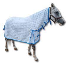 cotton combo horse rug ebay