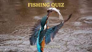 Sep 16, 2021 · as a substitute, listed here are fall trivia questions and answers for adults printable about this excellent season that may each inform and entertain you. 105 Fishing Quiz To Improve General Knowledge Trivia Qq