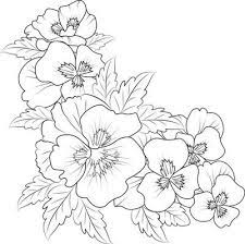 flower drawing vector art icons and