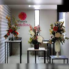 Vivero los inkas es una empresa especializada en la producción y comercialización de plantas ornamentales y productos afines. Facebook