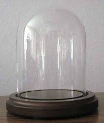 Bell Jar 3x4 Small Glass Dome With