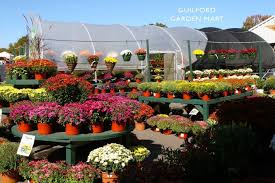 guilford van wilgen s garden center