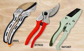 best pruning shears for your yard the