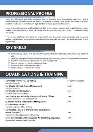 CVs for career changers   LSE Careers blog Dayjob Skills Based Resume Templates Cool Skill Based Resume Template    About  Remodel Resume For Download