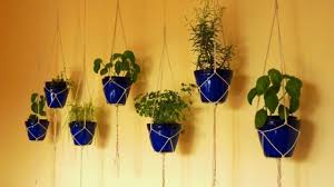 15 Diy Indoor Kitchen Herb Gardens