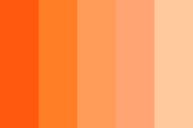 Orange Creamsicle Color Palette
