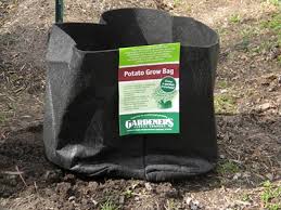 Potato Grow Bag Review