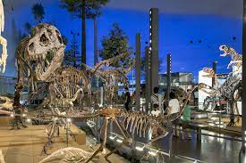 完全版】福井県立恐竜博物館のすべて - スキージャム勝山 よりみちガイド