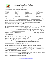 A collection of english esl worksheets for home learning, online practice, distance learning and english classes to teach about short, answers, short answers. Use The Words In The Box To Fill In The Stomach Chewed Food