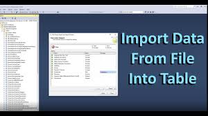 ssms import data from csv file you