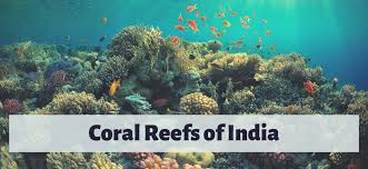 c reefs of india
