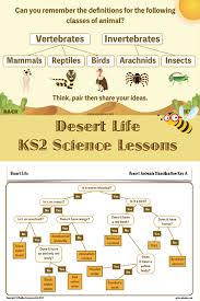Desert Life Desert Life Deserts Desert Animals