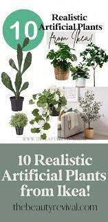 10 artificial plants that look real