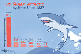Shark Attacks In The United States By State