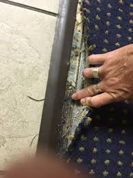 tack strip from carpet exposed kids